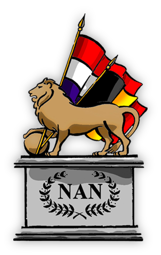 nan-icon