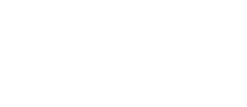 Logo Le 85ème Régiment d'Infanterie de Ligne